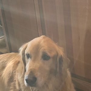 Meet your Posher, Marcus